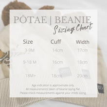 Load image into Gallery viewer, Matariki Knit Beanie