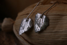 Load image into Gallery viewer, Kawakawa Earrings - Silver