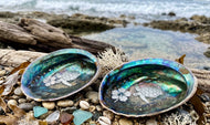 Paua Shell decor