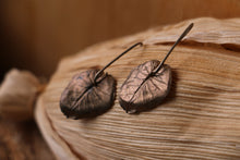 Load image into Gallery viewer, Taro Leaf Earrings - Bronze

